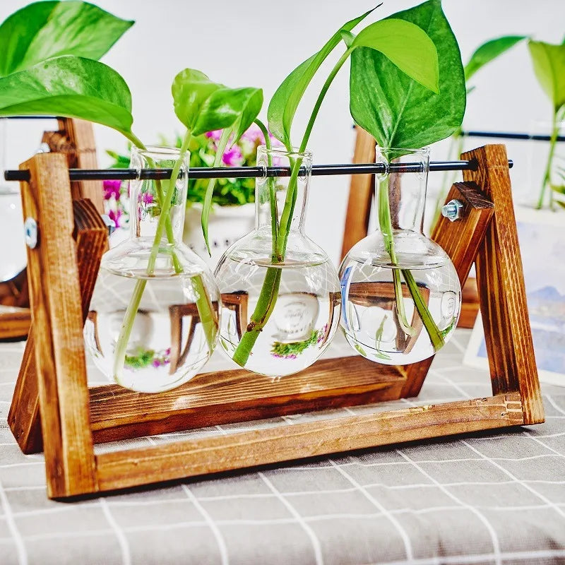 Tabletop Glass Planter