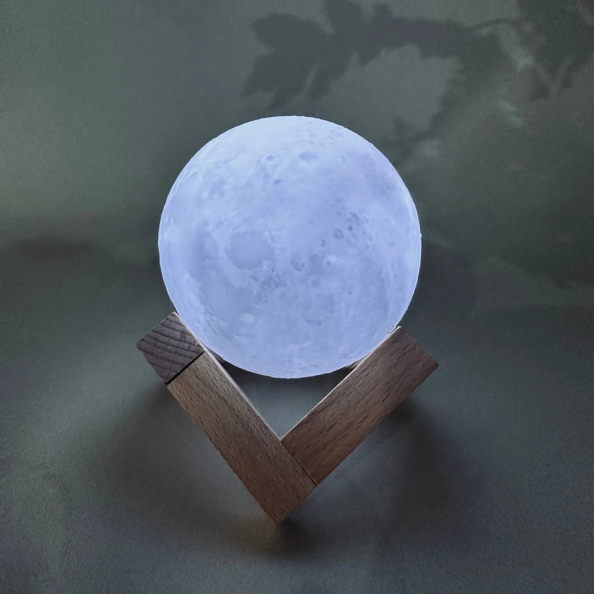 Moon Light
