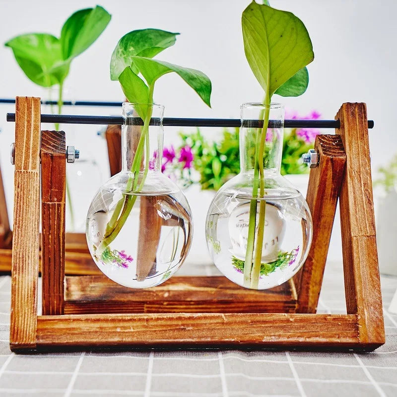 Tabletop Glass Planter