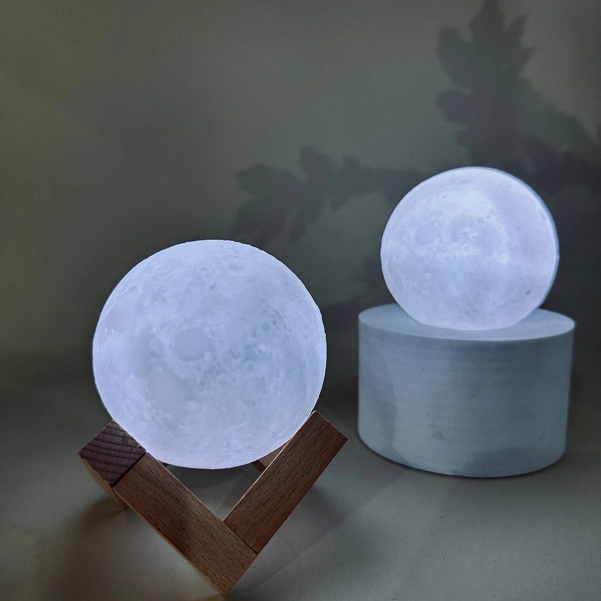 Moon Light