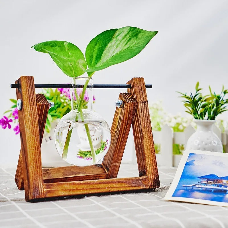 Tabletop Glass Planter