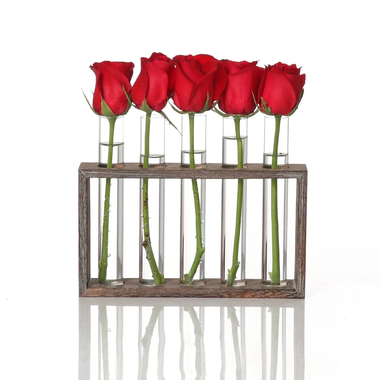 5-Tube Glass Hydroponic Planter with Wooden Stand