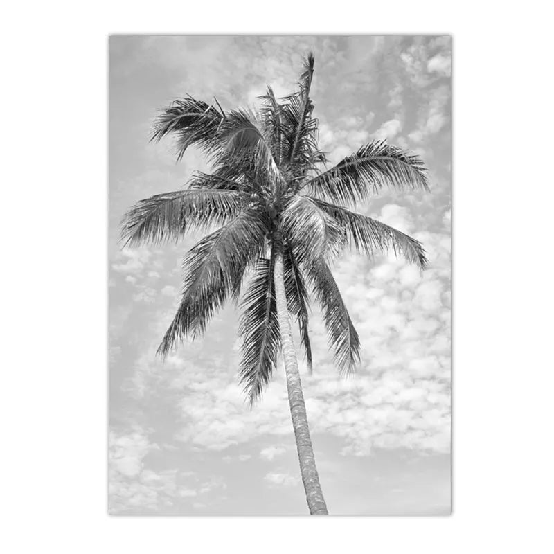 Black And White Palm Tree Art
